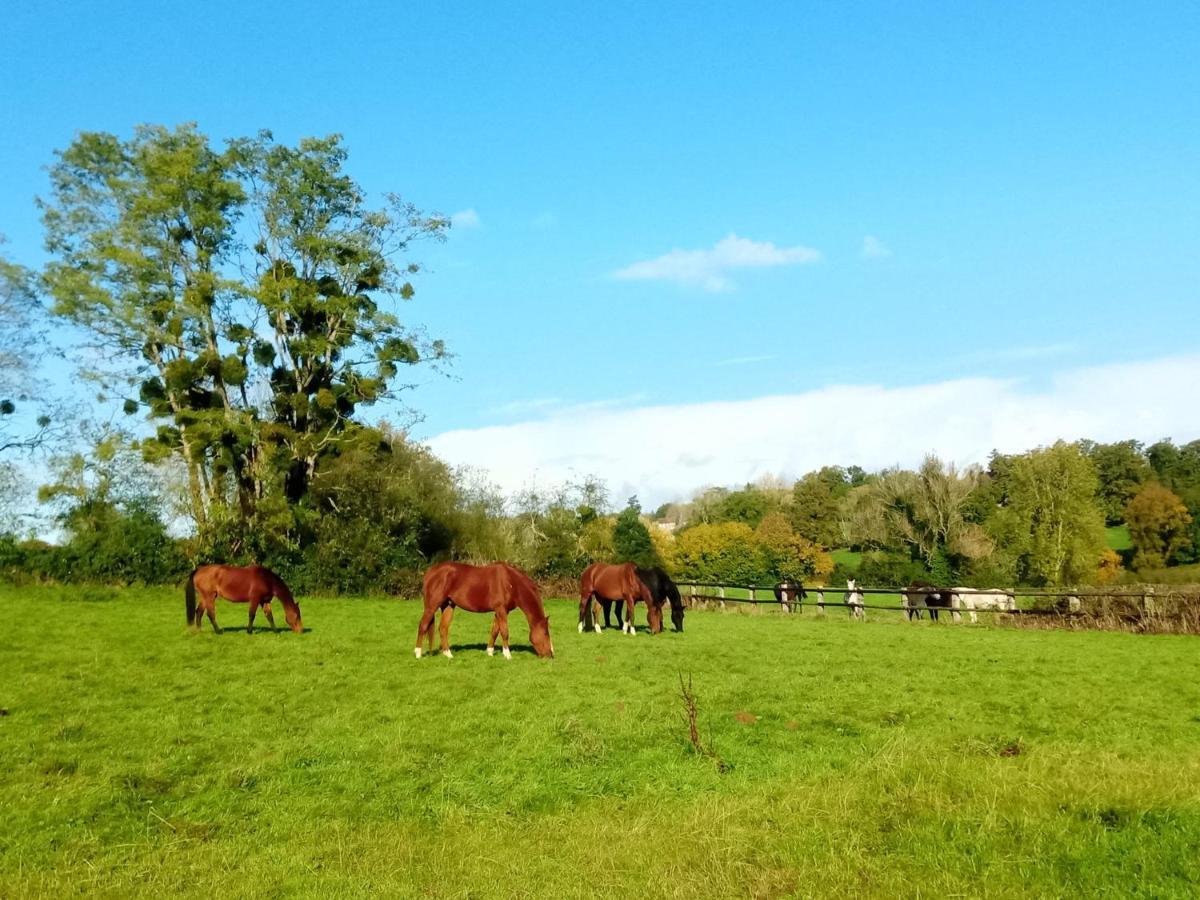 Relais Equestre Du Miloir - Chambres D'Hotes Saint-Desir Bagian luar foto