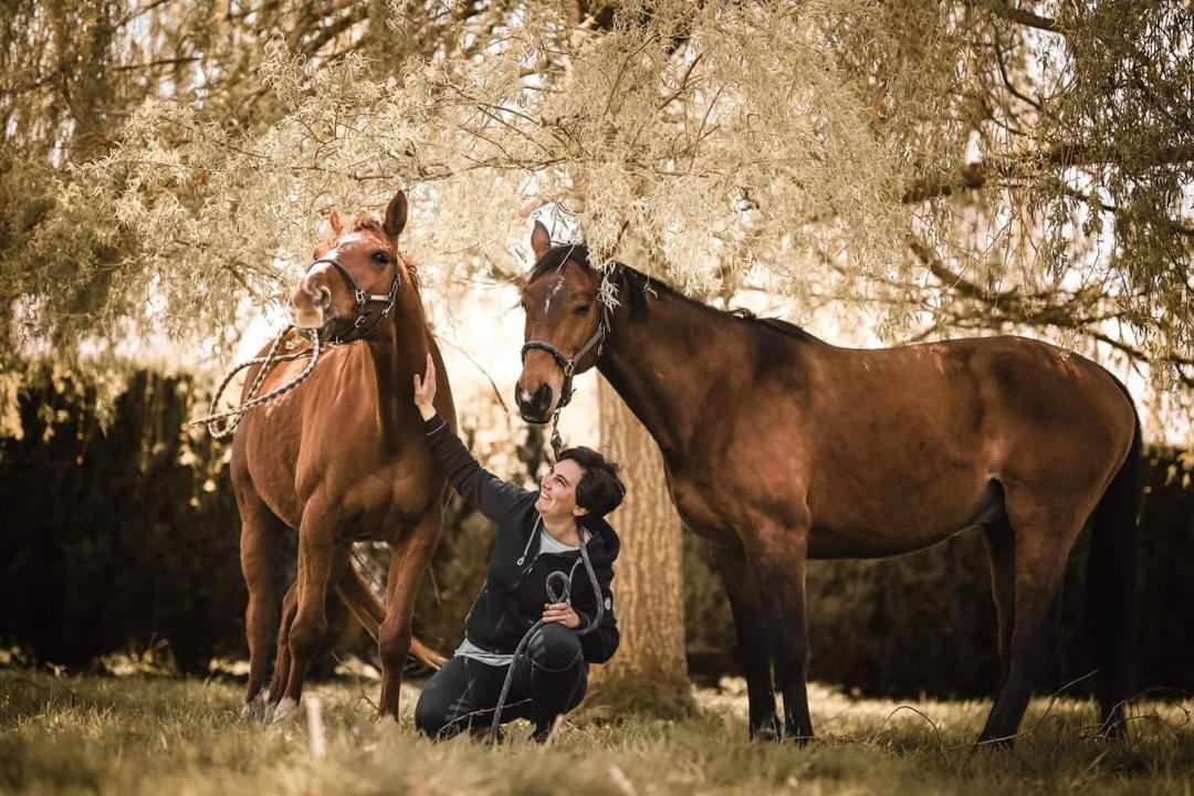 Relais Equestre Du Miloir - Chambres D'Hotes Saint-Desir Bagian luar foto