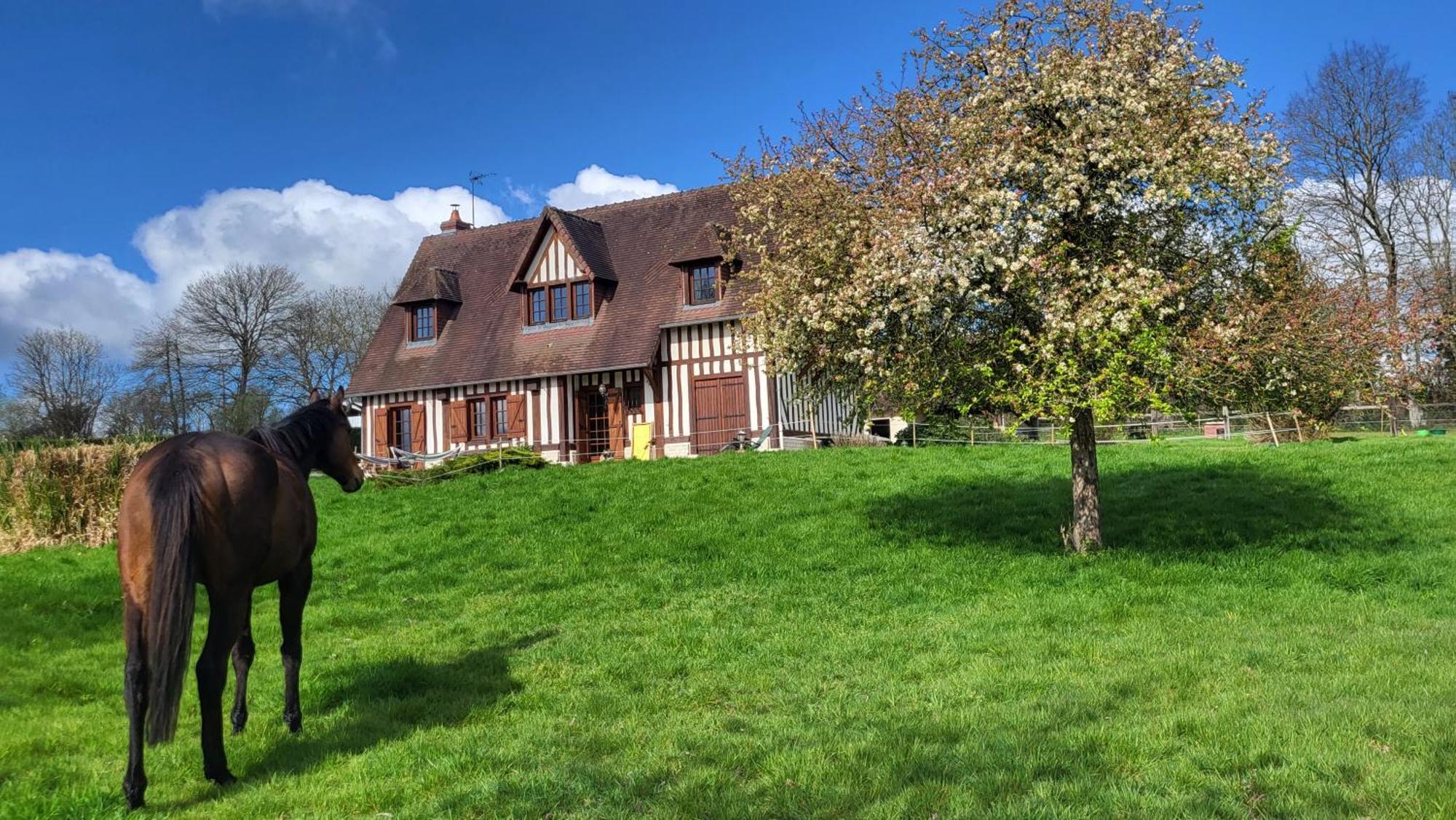 Relais Equestre Du Miloir - Chambres D'Hotes Saint-Desir Bagian luar foto